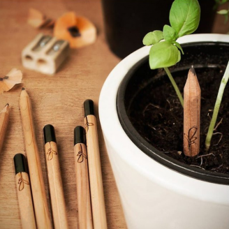 Crayon à planter avec graines