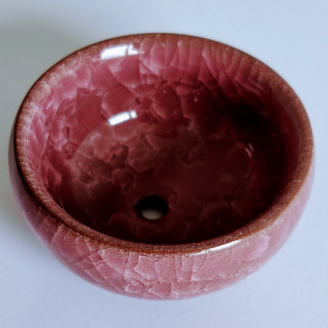 Mini-pot pour succulente