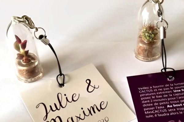 Les MiniCactus : des Cadeaux Invités de Mariage uniques et personnalisés